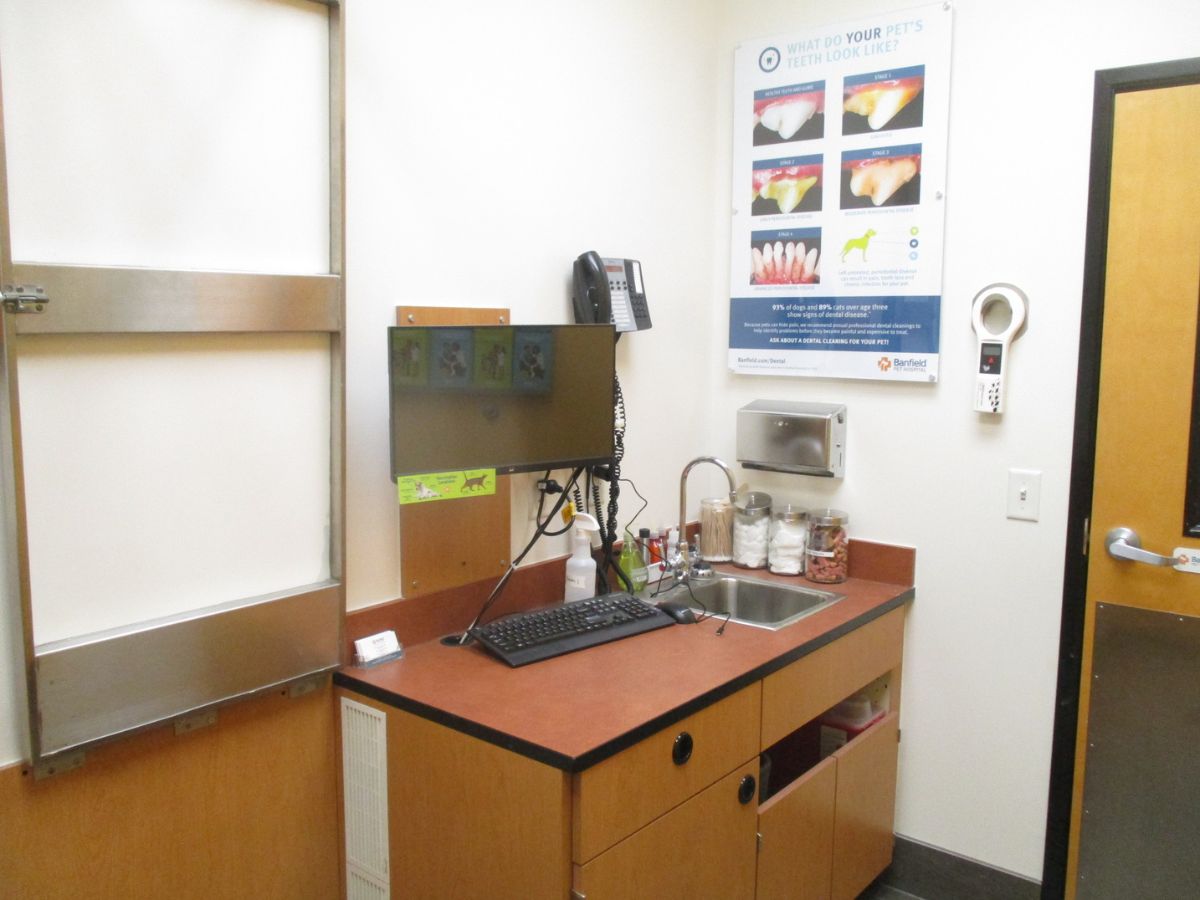 The Banfield - Salem hospital exam room and folding table