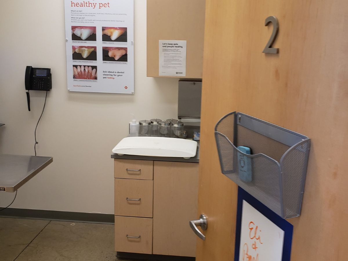 A view of the South Boston Banfield exam room