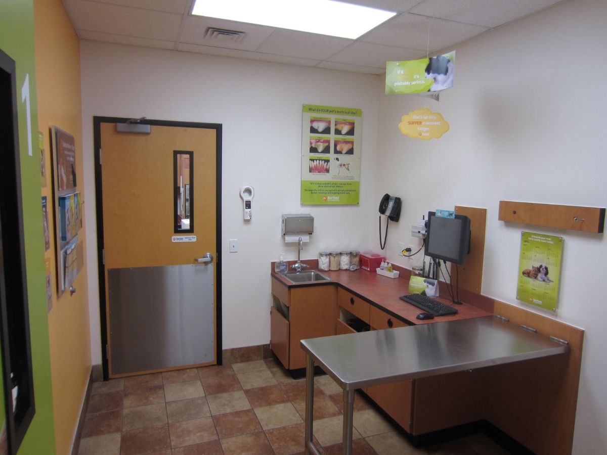 Another view of the Banfield - Woburn exam room with table