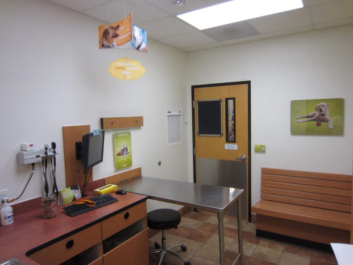 The Banfield - Woburn exam room with table