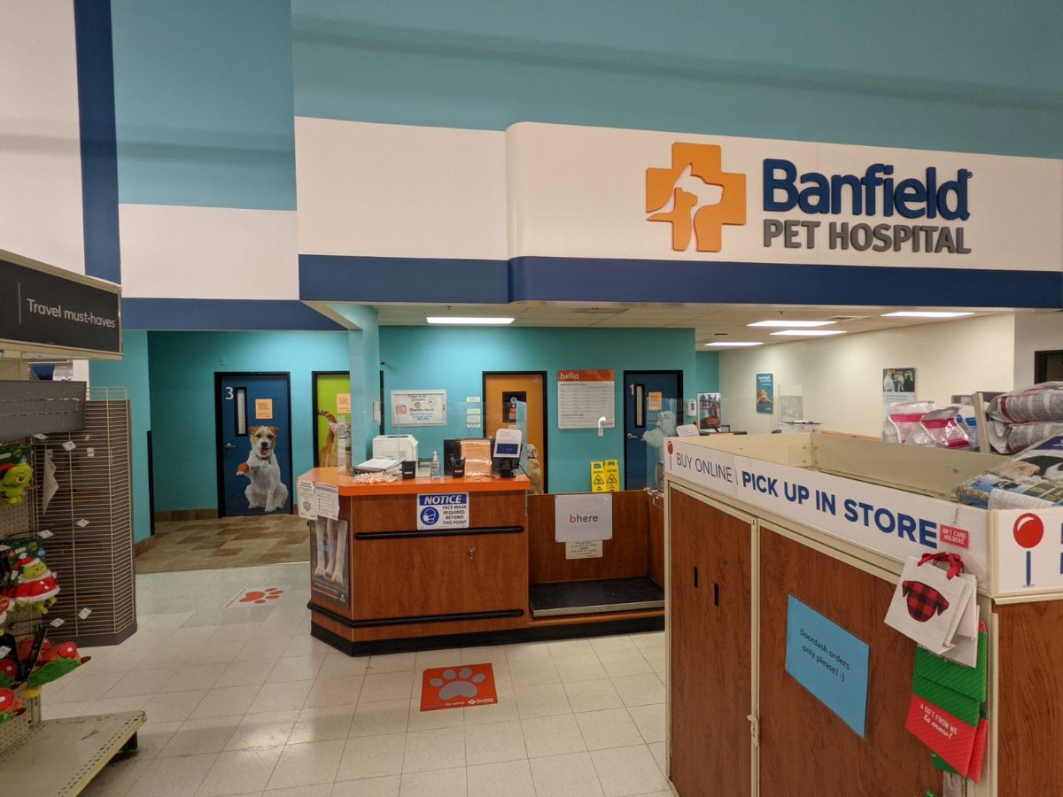 The Banfield - Warwick front desk and check-in area