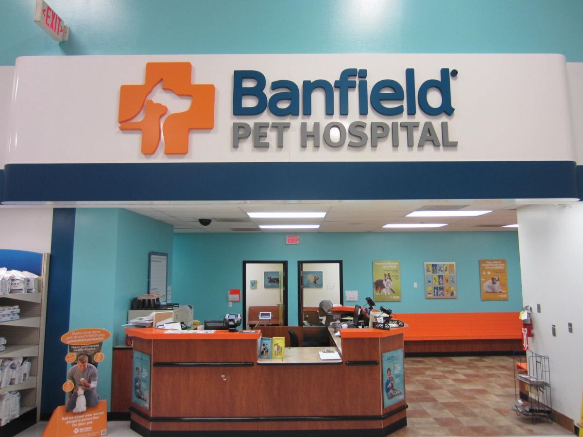 The Braintree Banfield hospital front desk and check-in area