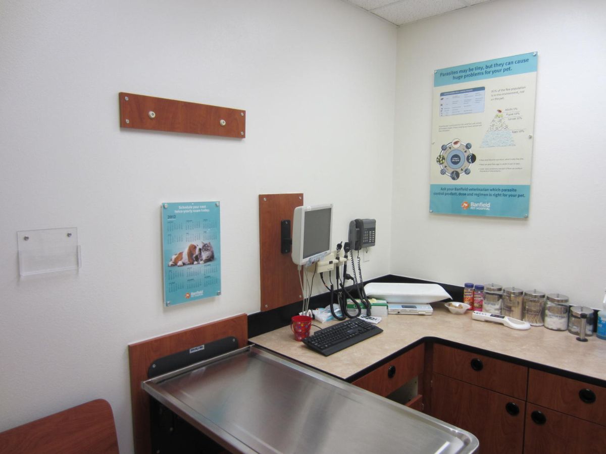 A view of the Banfield - Braintree hospital exam room