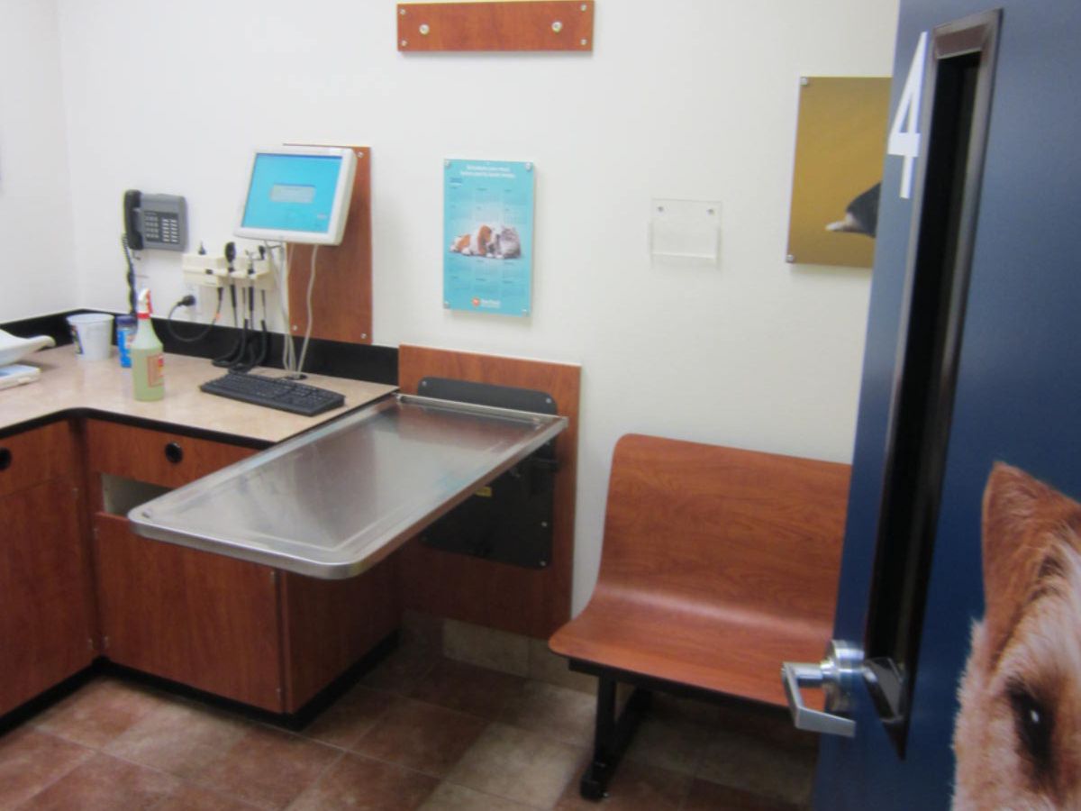 An alternate view of the Braintree Banfield exam room
