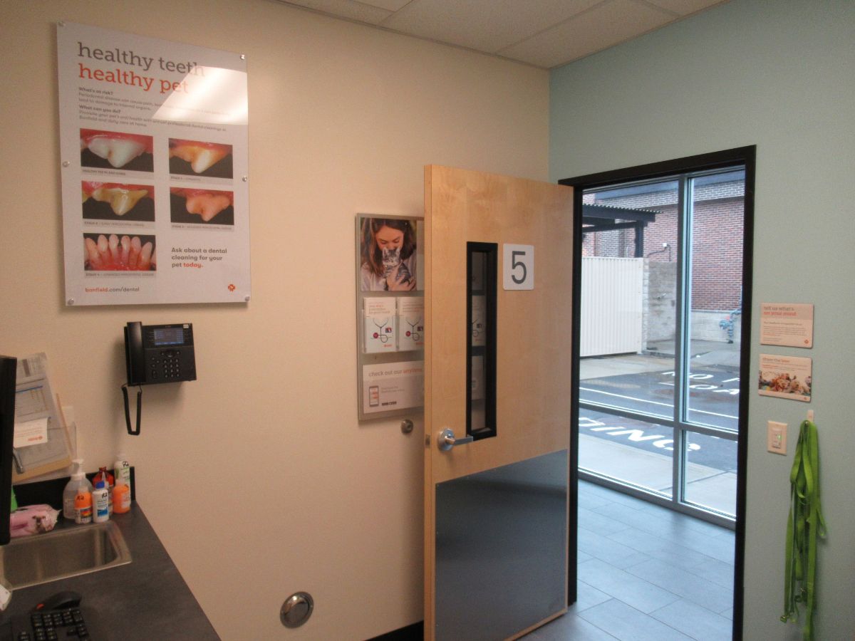 A view of the Banfield - North Attleboro hospital exam room