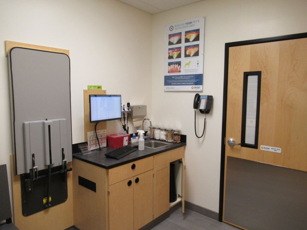 An alternate view of the North Haven Banfield exam room