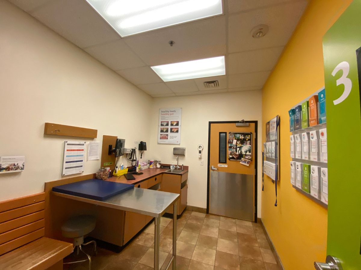 An alternate view of the Ocean Banfield exam room and table