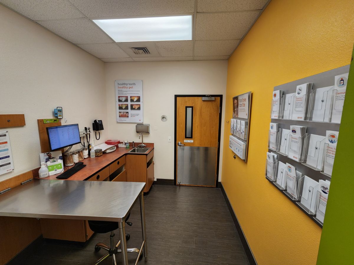 Another view of the Banfield - Manahawkin exam room and folding table
