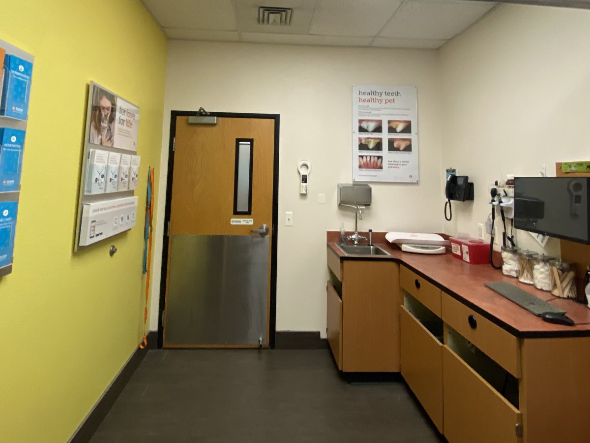 An inside view of the Banfield - Manahawkin exam room and folding table