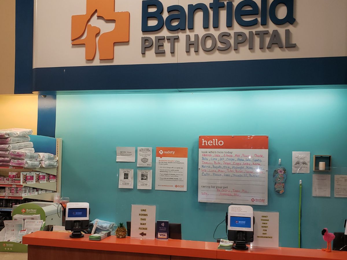 The front desk and check-in area of the Woodbridge Banfield hospital
