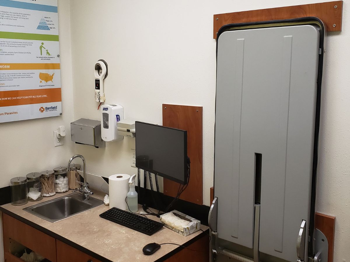 Another view inside the Woodbridge Banfield hospital exam room