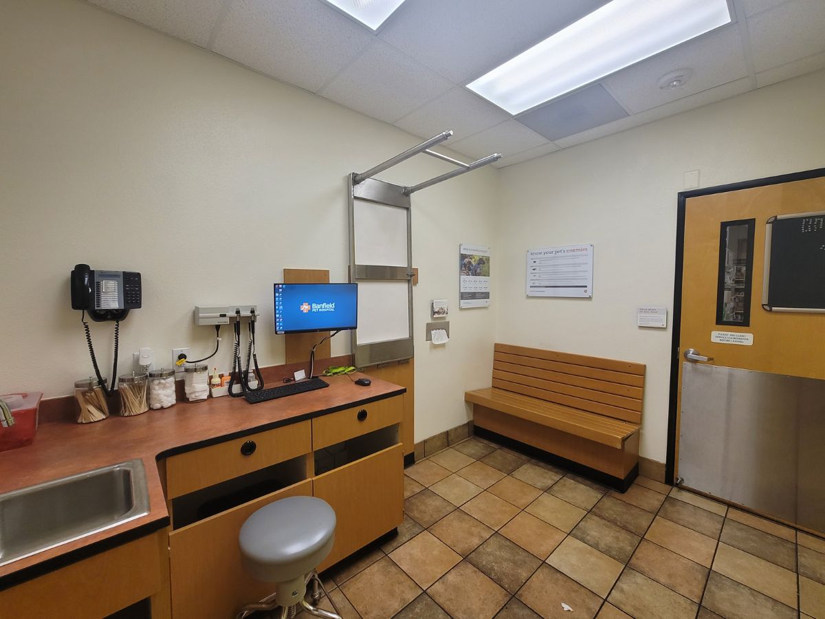 A view of the Banfield - Mantua exam room and folding table