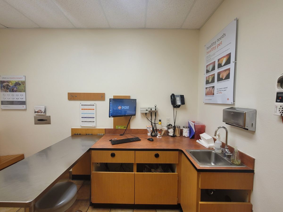 Another view of the Mantua Banfield exam room and folding table