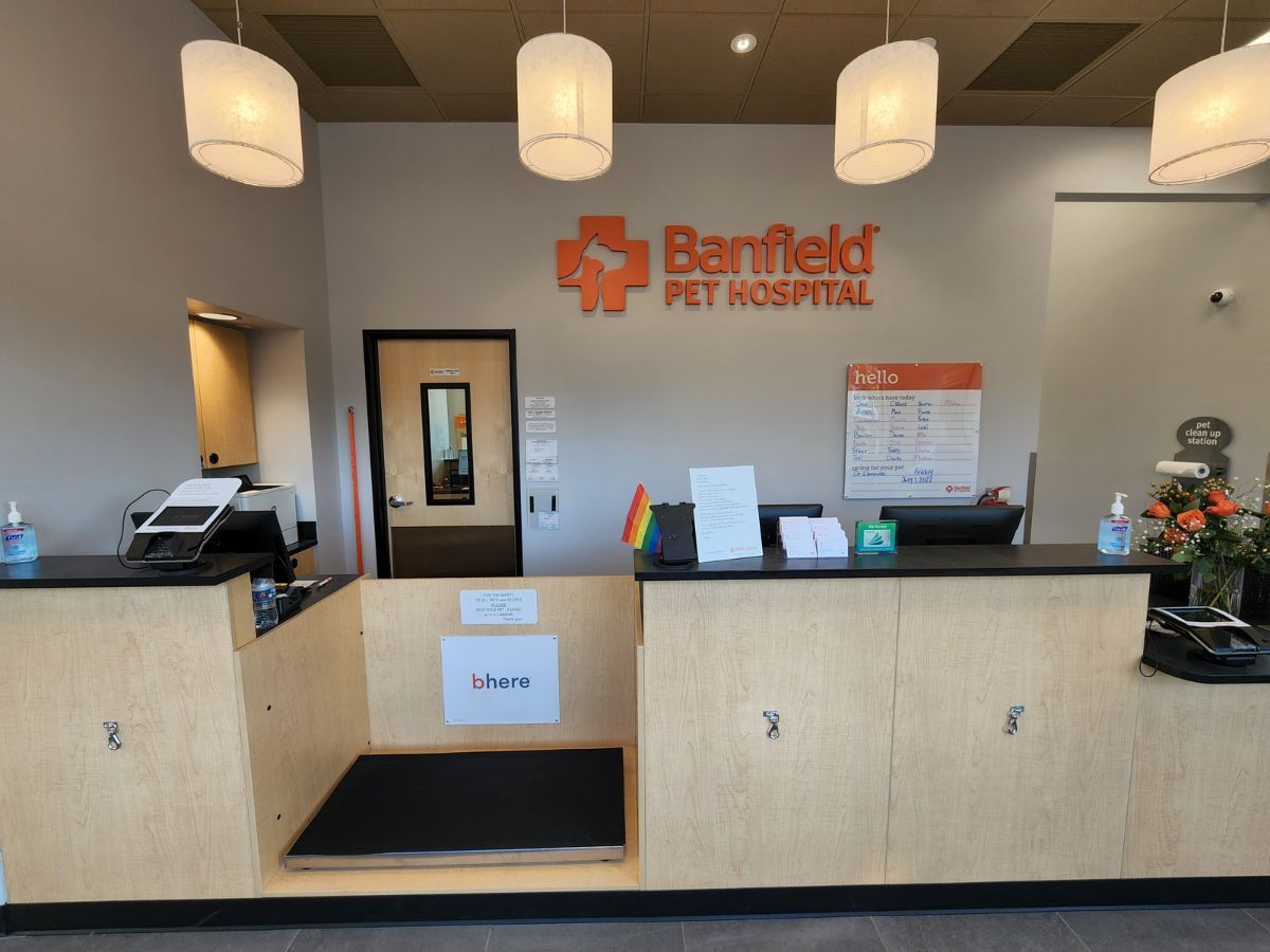 The front desk of the Banfield - Metuchen hospital