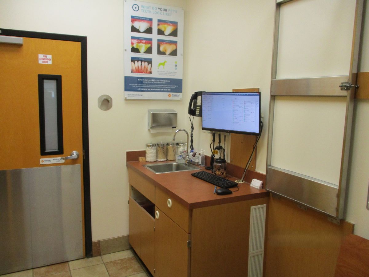 A view inside a Hamilton Banfield exam room