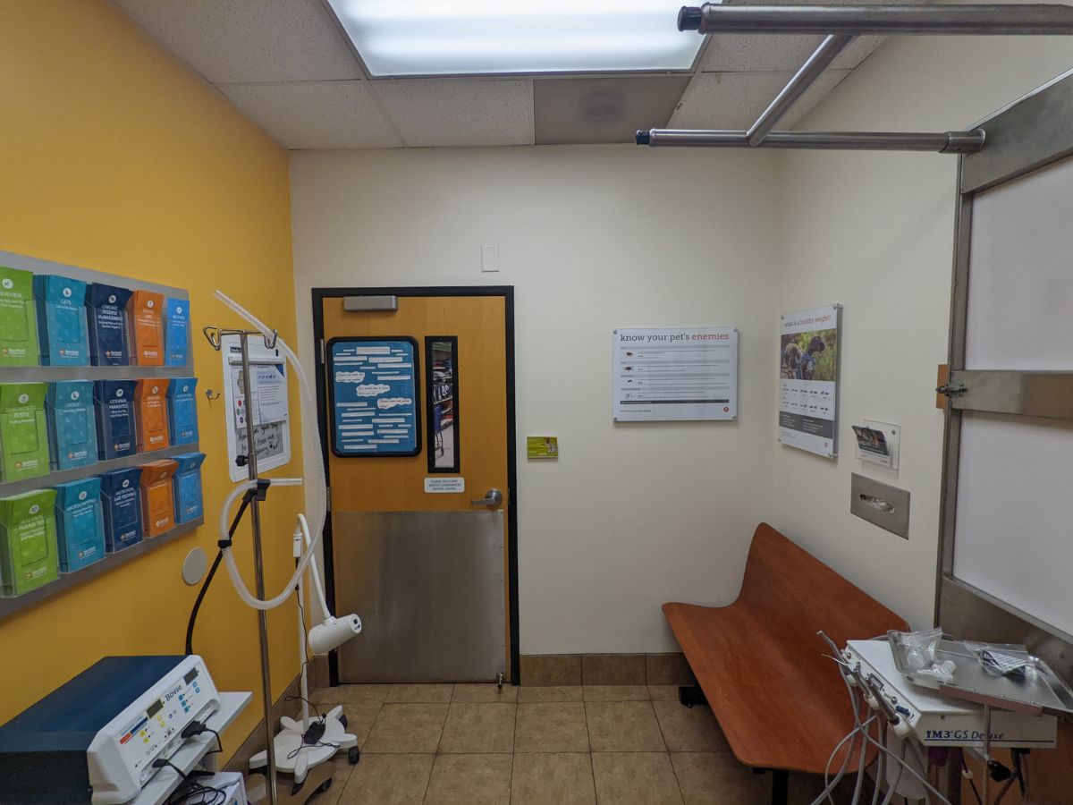 A view inside the Banfield - Mt. Laurel exam room with equipment
