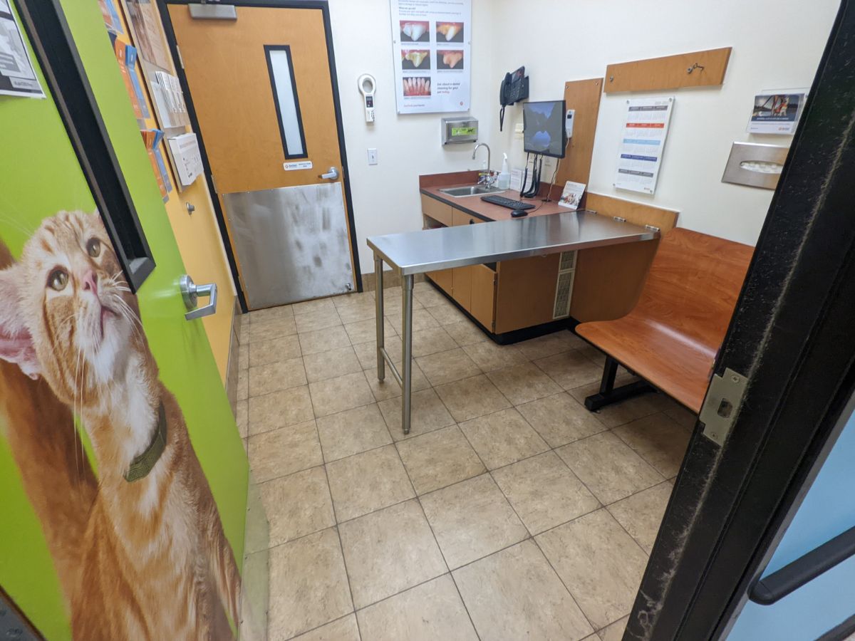 An alternate view of a Banfield - Mt. Laurel exam room with the folding table