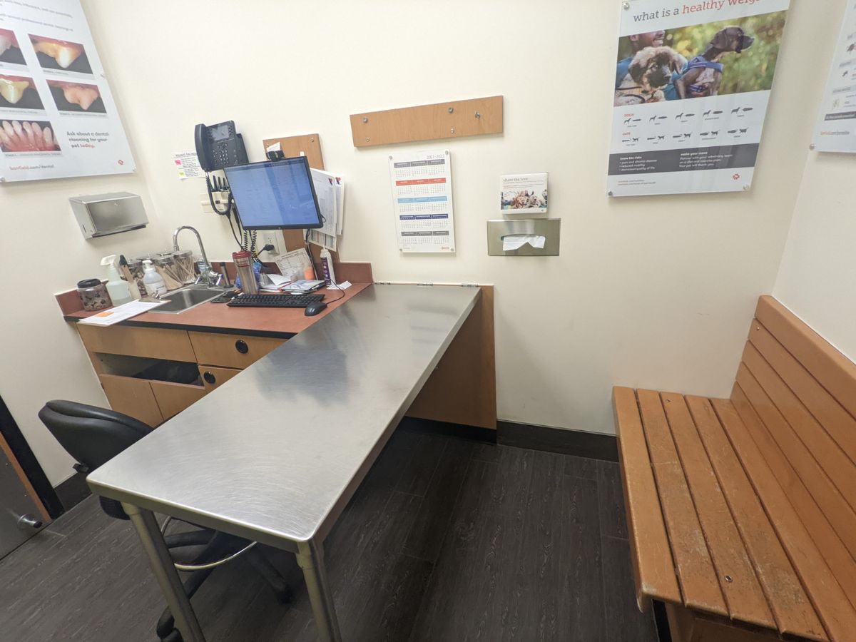 A view of a Banfield - Niskayuna hospital exam room