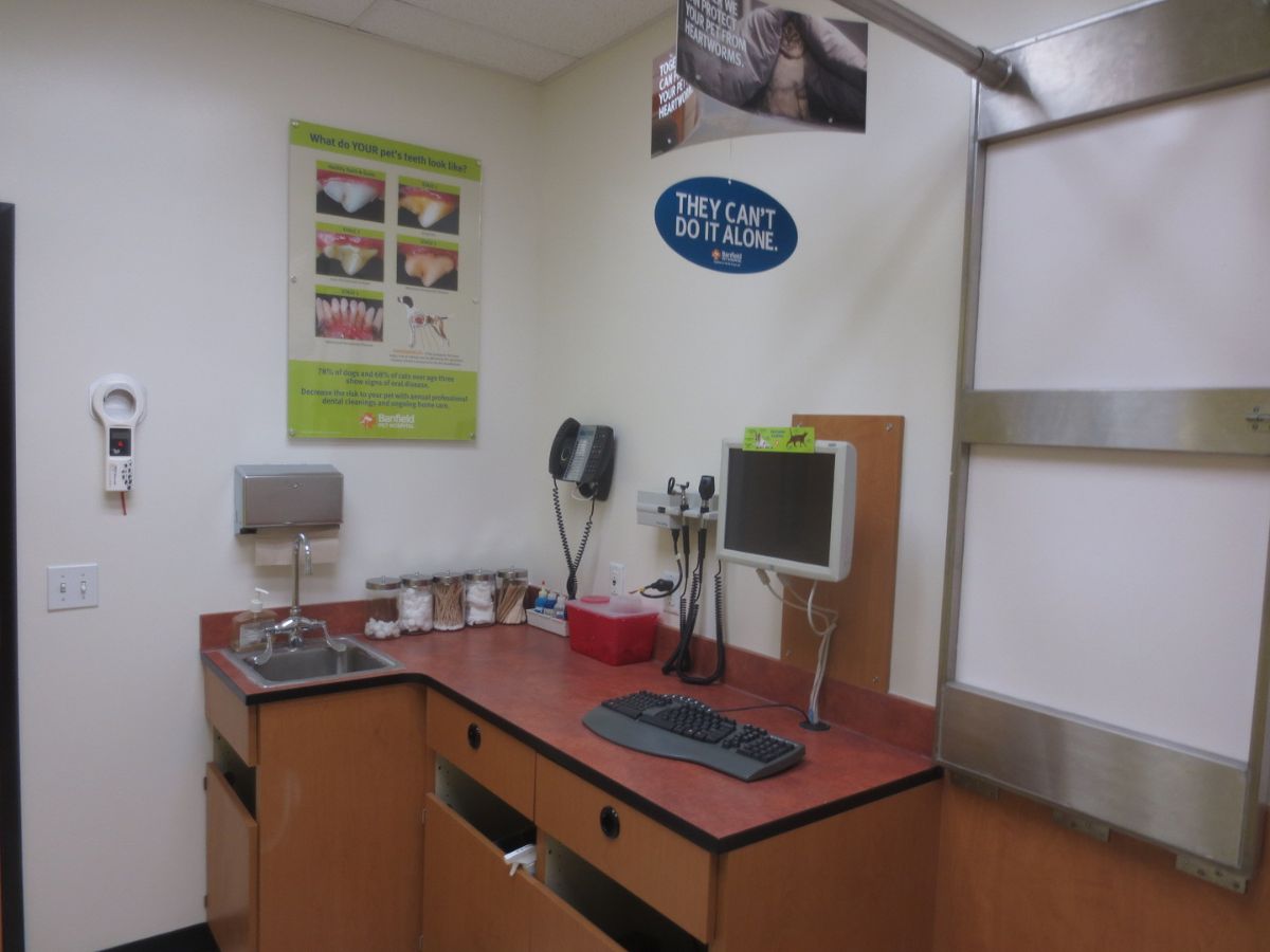 A view inside the Newburgh Banfield hospital exam room and folding table