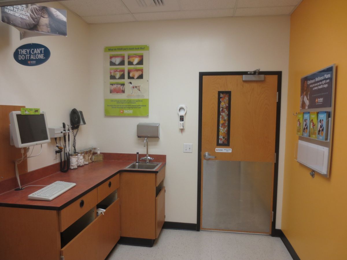 An alternate view a Banfield - Newburgh exam room