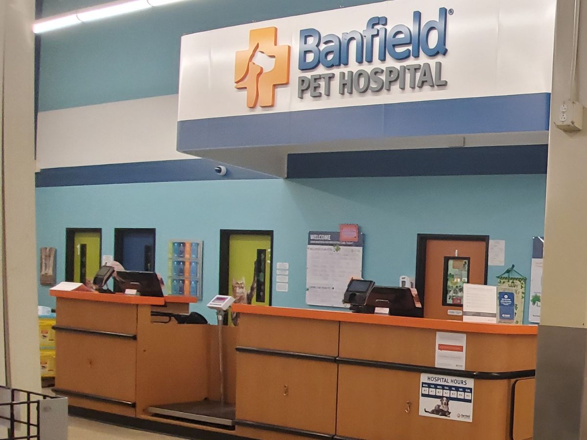 The front desk of the Henrietta Banfield hospital