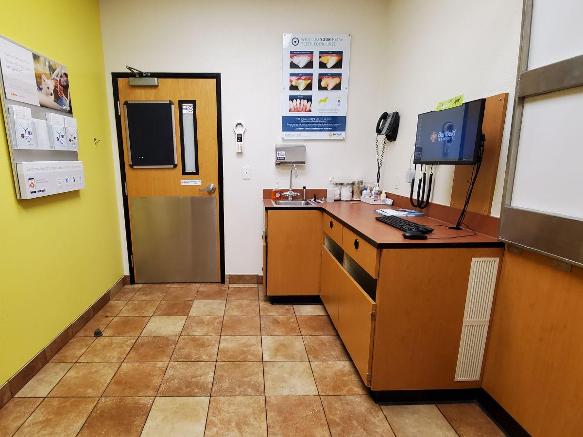 A view of the Webster Banfield exam room