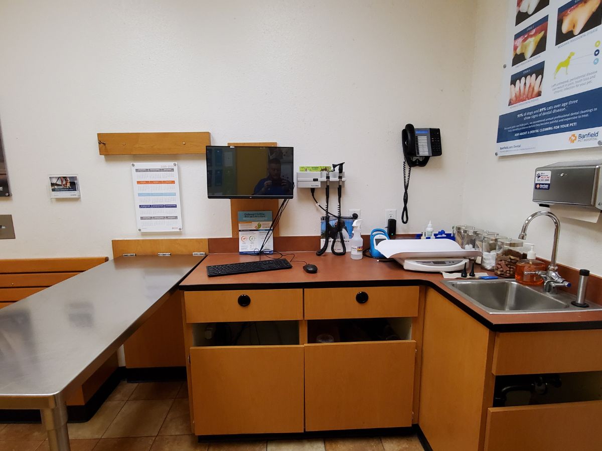 An alternate view of a Banfield - Webster hospital exam room