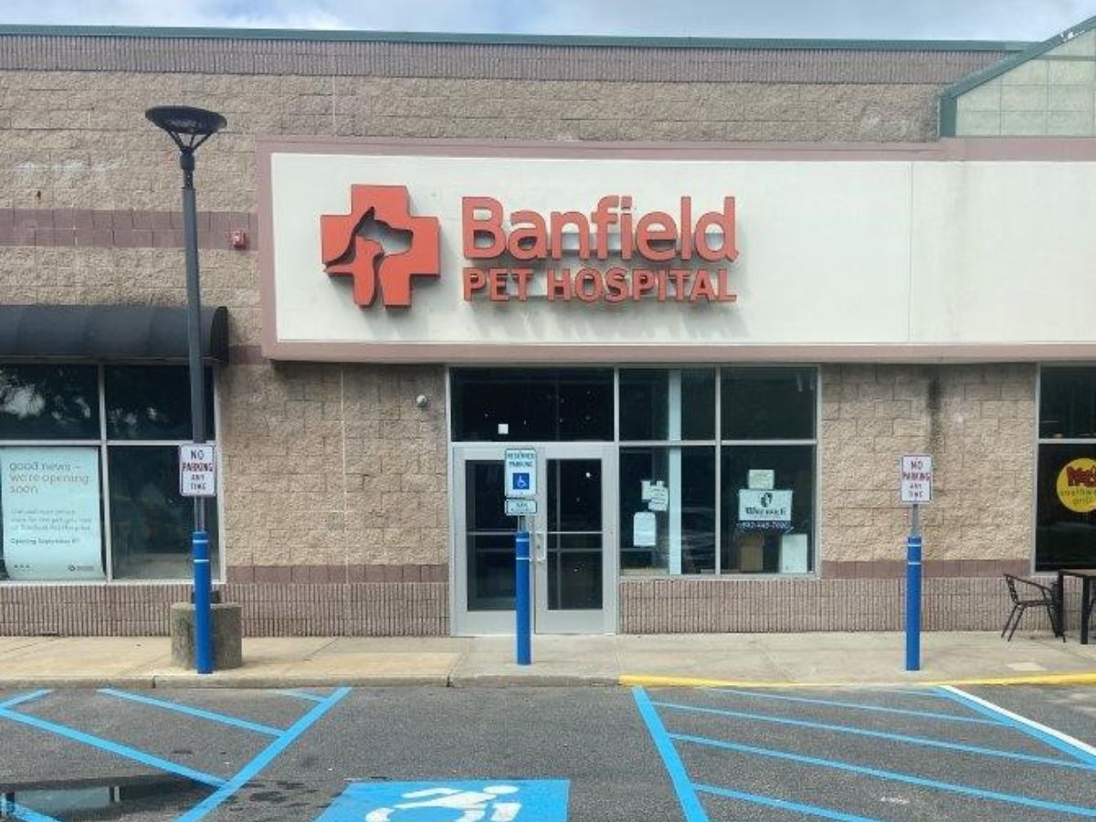 The front entrance to the Banfield - Commack hospital