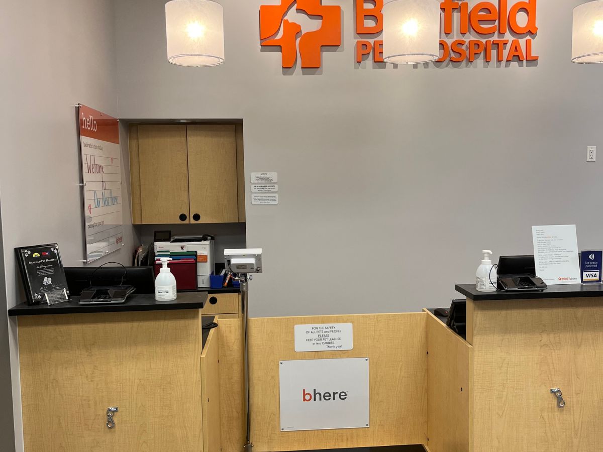 The front desk inside the Commack Banfield hospital