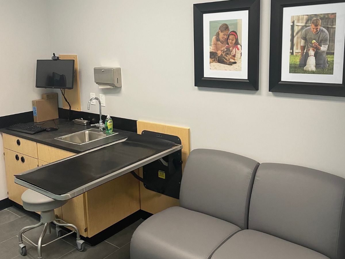 A view inside a Banfield - Lake Grove Commons hospital exam room and folding table