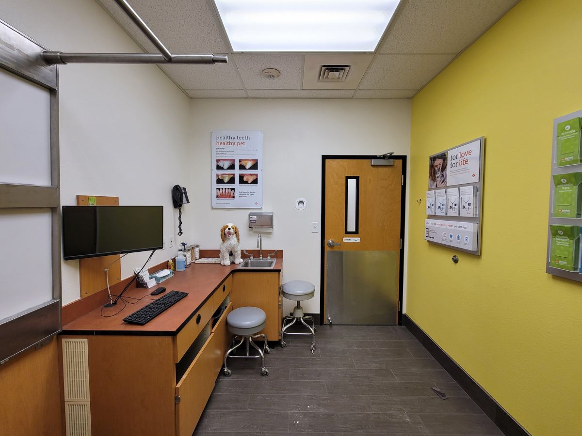 A view inside a West Chester Banfield hospital exam room