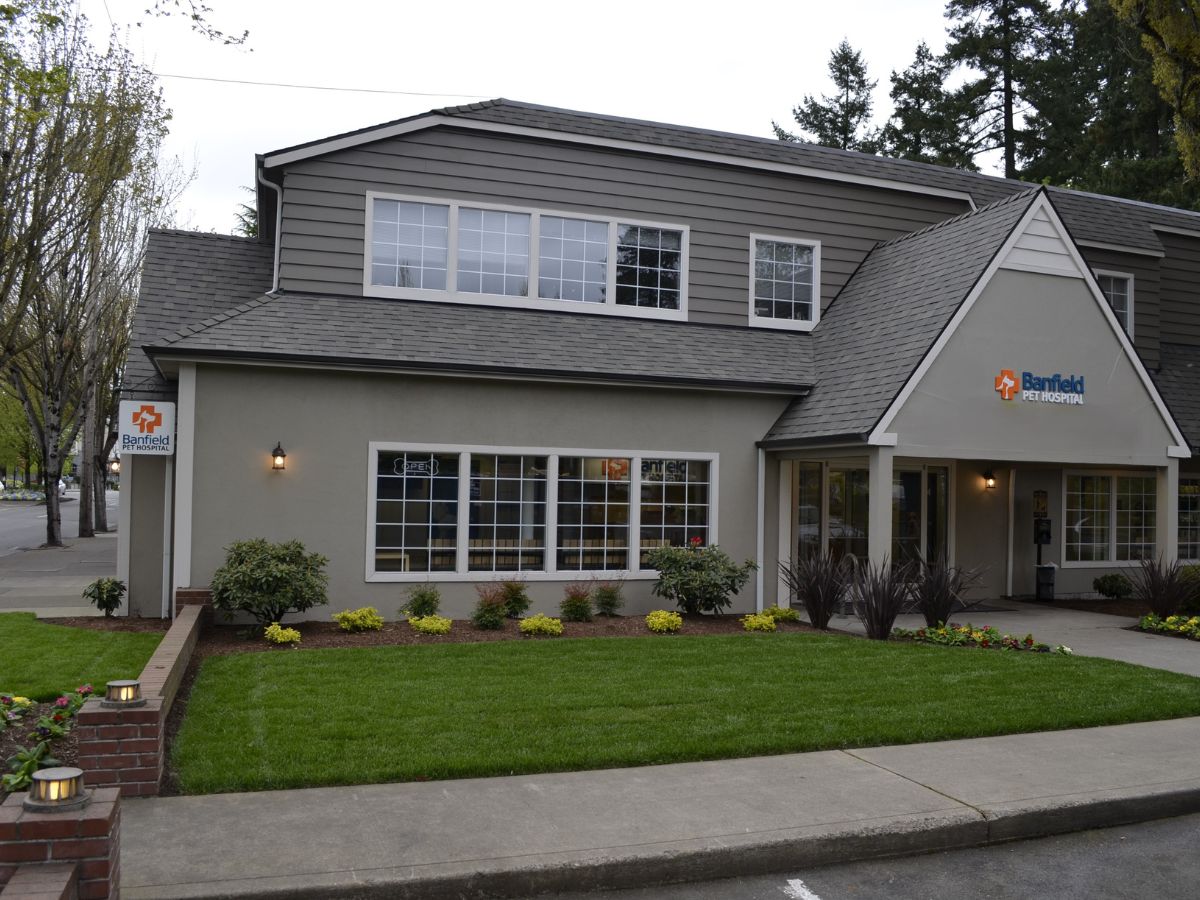 The Lake Oswego Banfield hospital front entrance