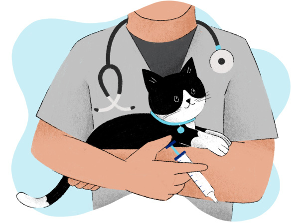 Cat is in doctors hands