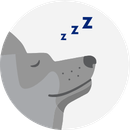 Illustrated icon of a sleeping dog