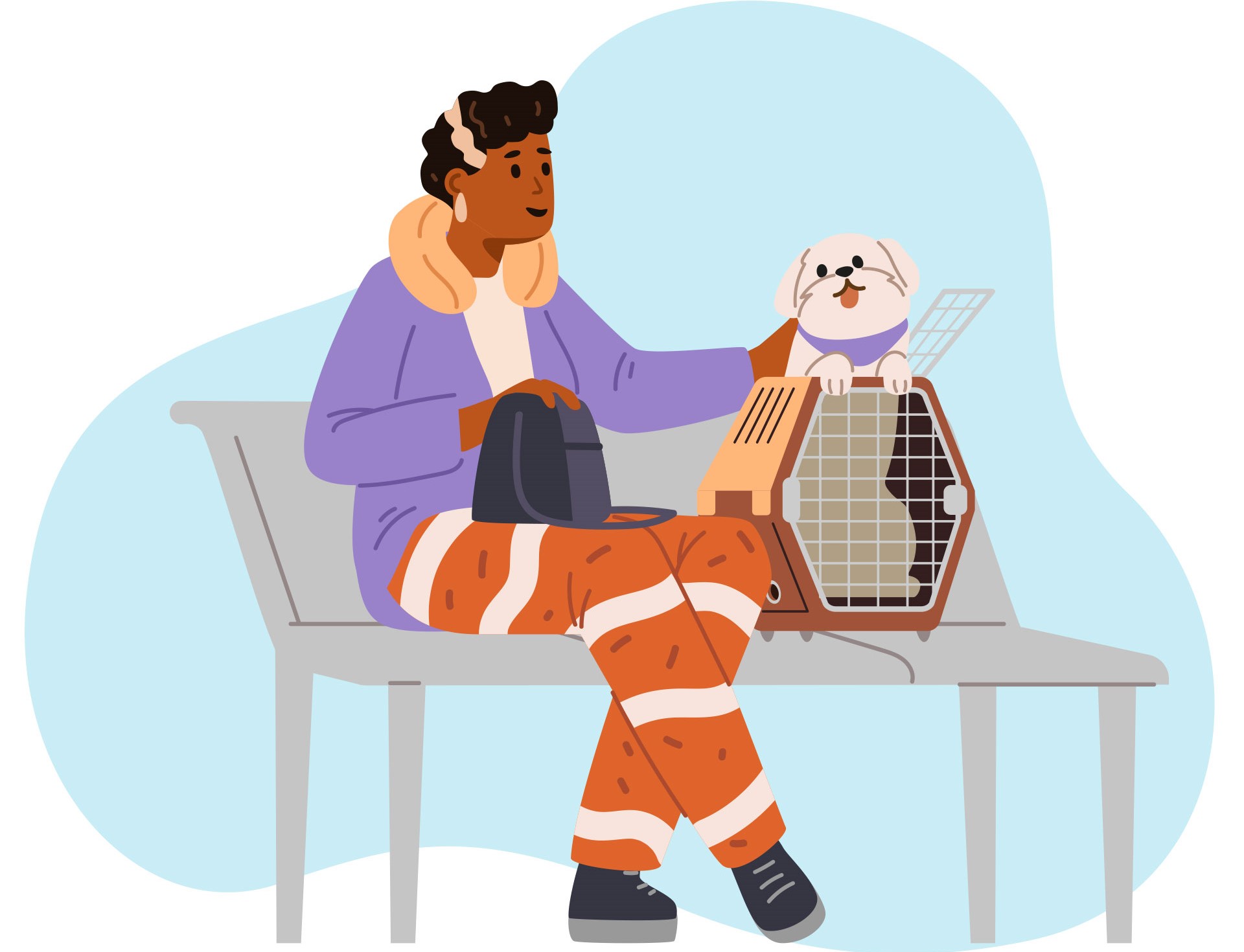 Illustration of a white poodle in their carrier with their owner