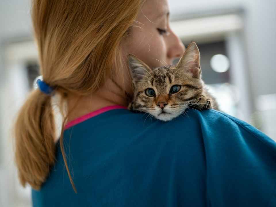 A veterinary professional holding a kitten