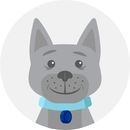 Illustrated icon of a dog wearing a blue collar