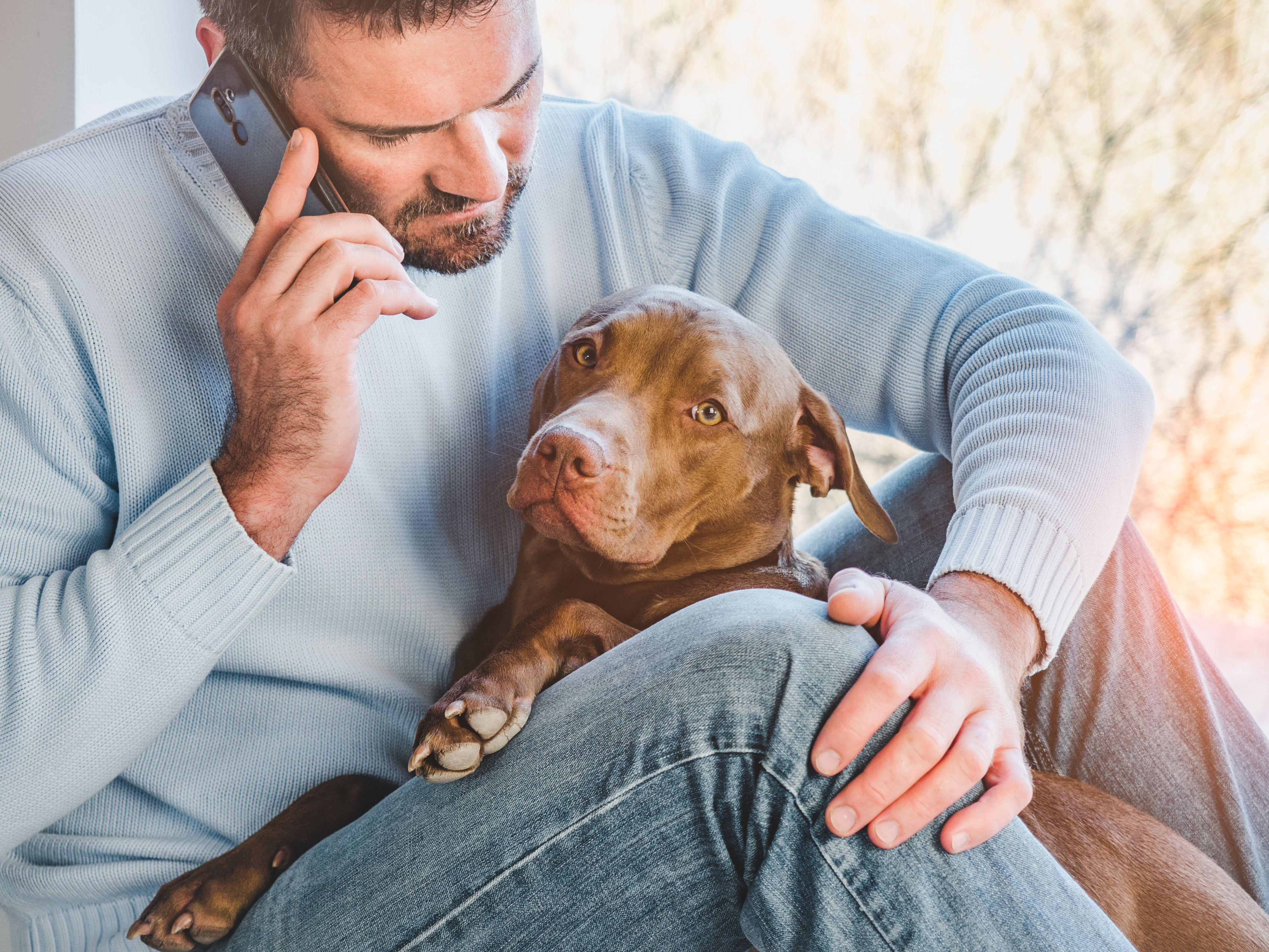A man talking on his mobile phone while holding his dog