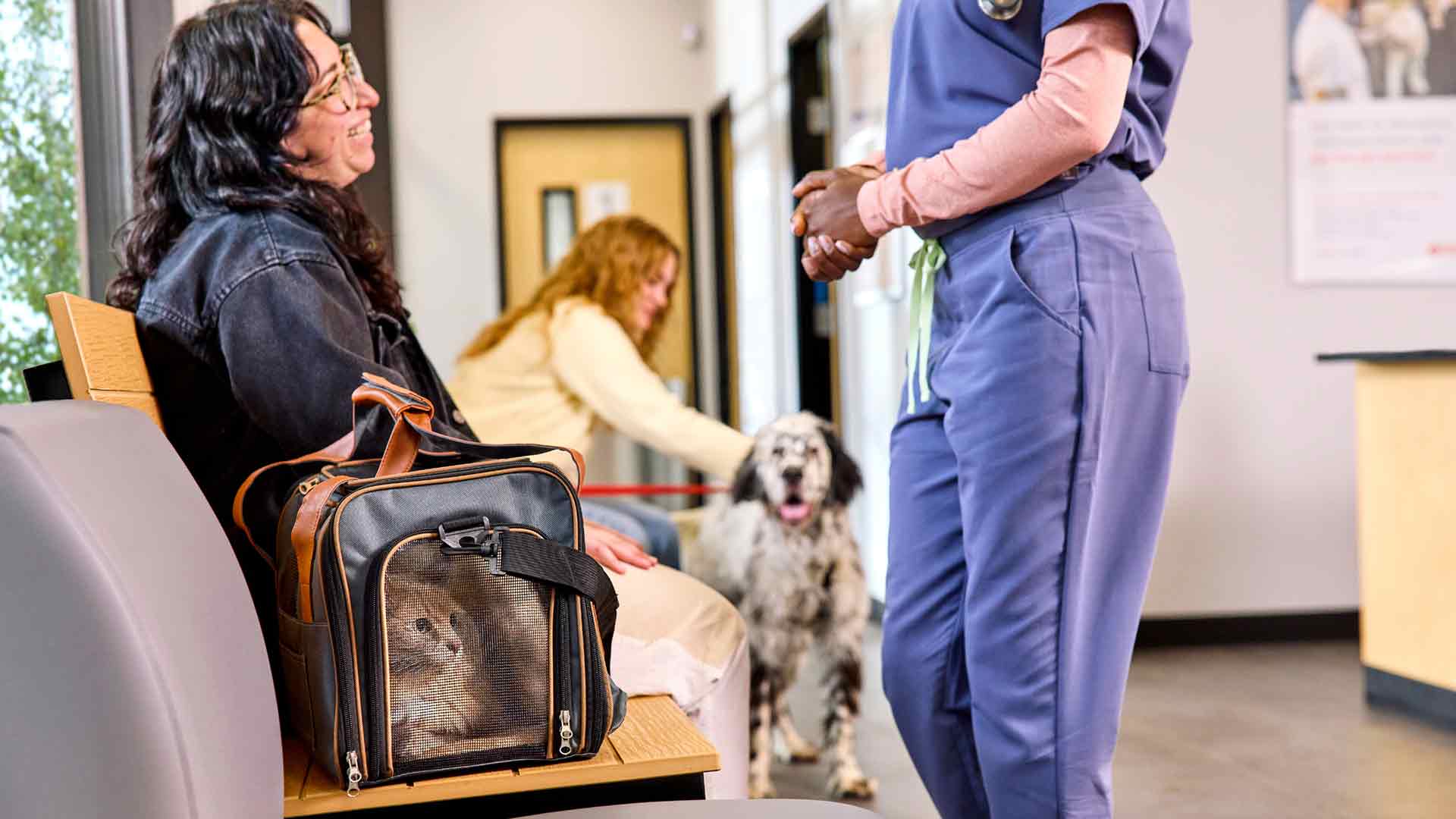 A vet tech with owners and pets in the waiting room