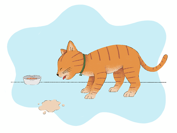 Illustration of a cat that ate their food and threw up