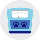 Spot illustration: Scale indicating low weight
