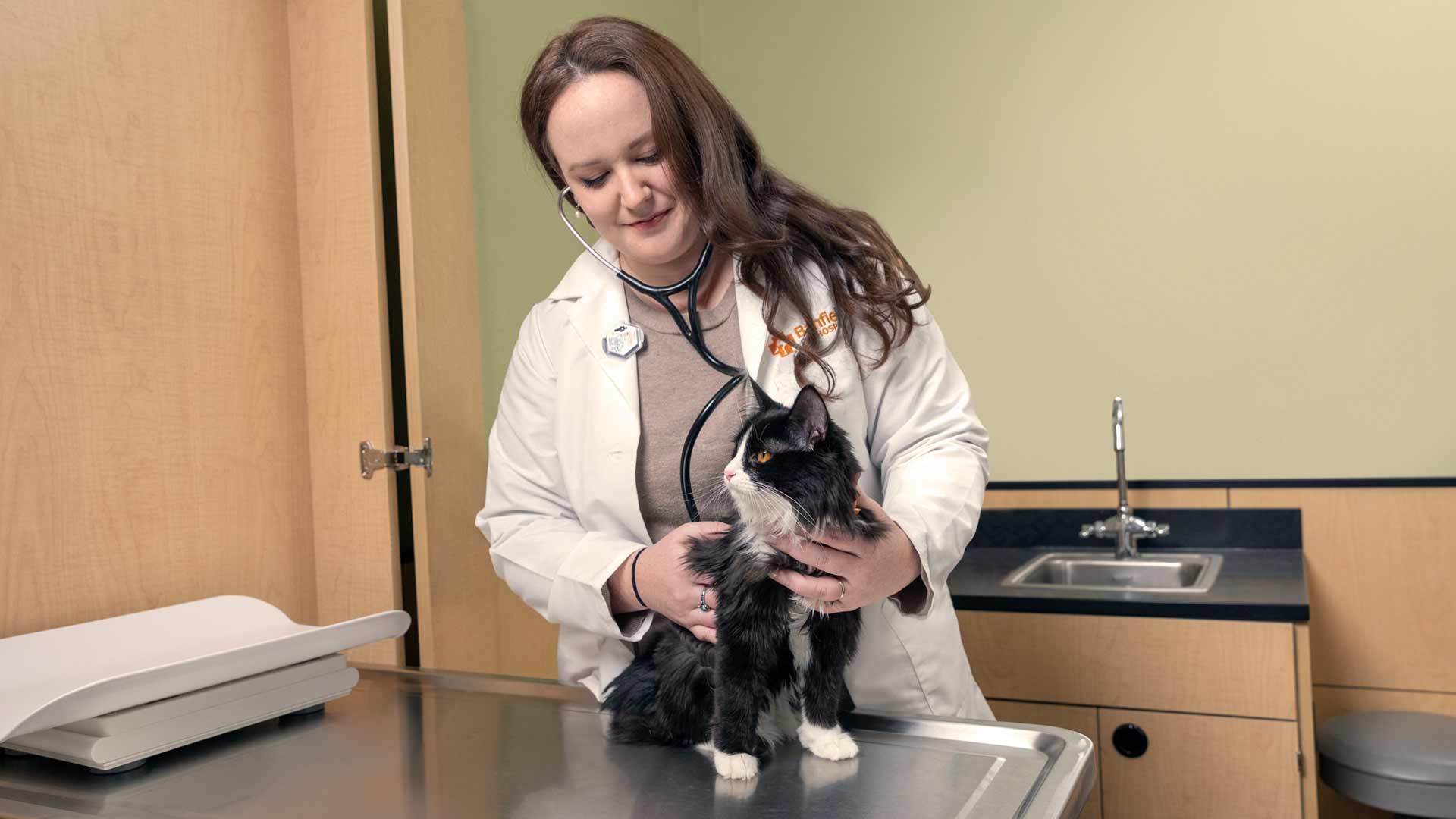 A Banfield veterinary professional examines a black and white cat