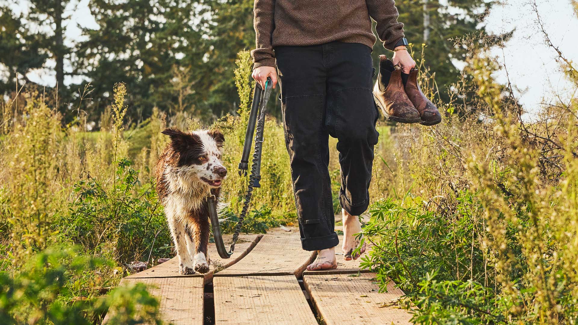 A pet owner walking their dog 