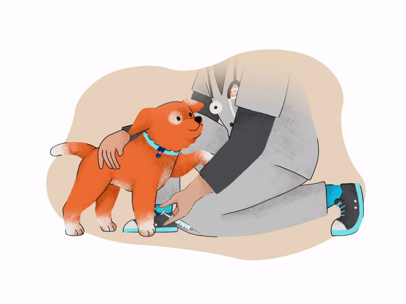 A CVT greeting a dog and their owner