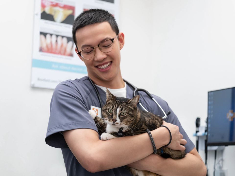 A CVT holding a dog at the vet