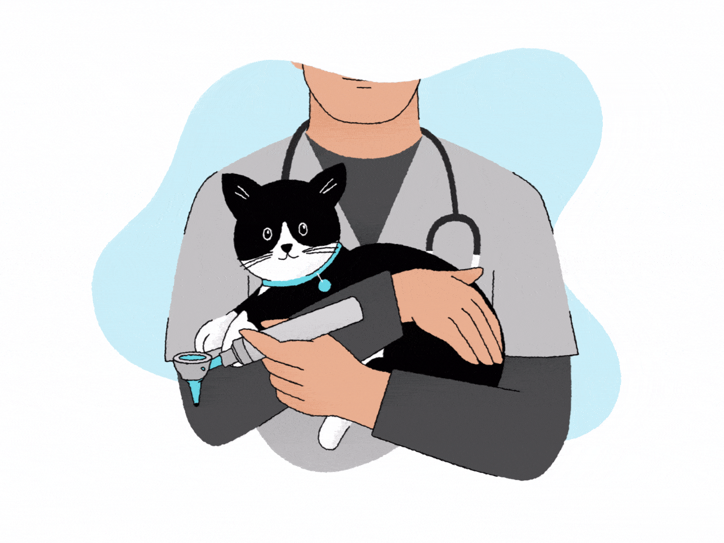 Illustration of a cat getting its temperature taken