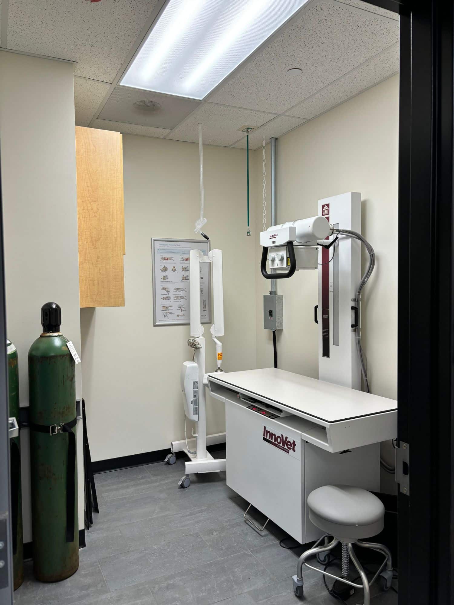 Image of Banfield Pet Hospital location Kildeer