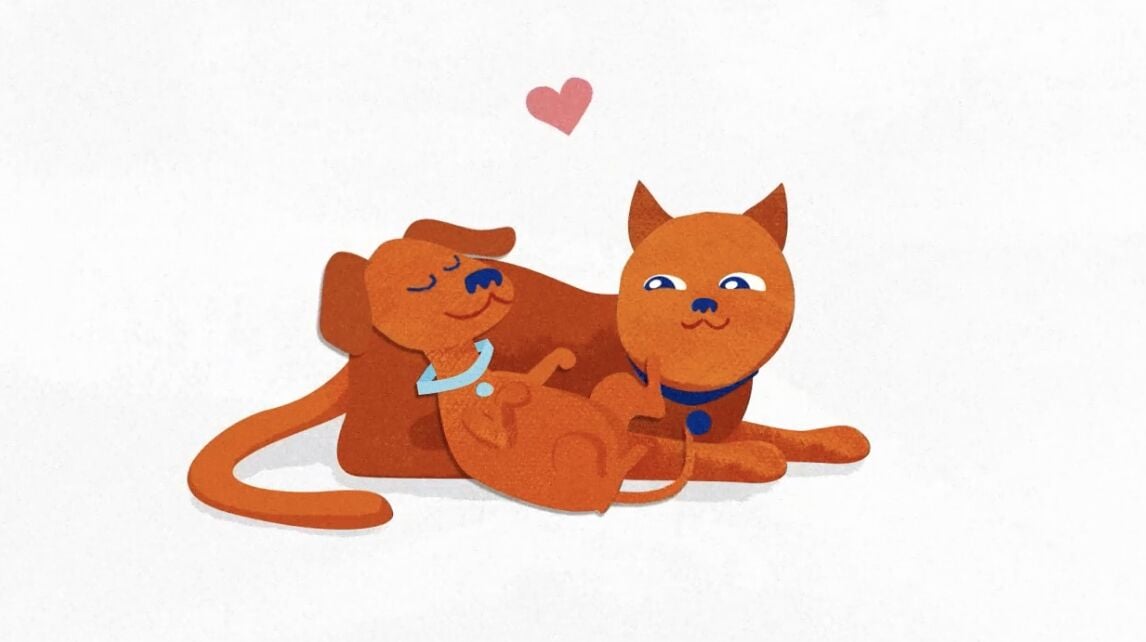 a dog and cat cuddling together