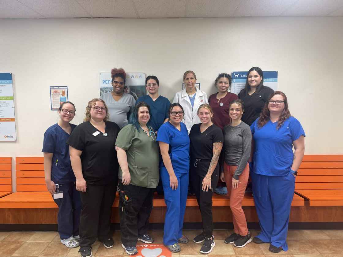 The staff of the Phoenix N Banfield hospital