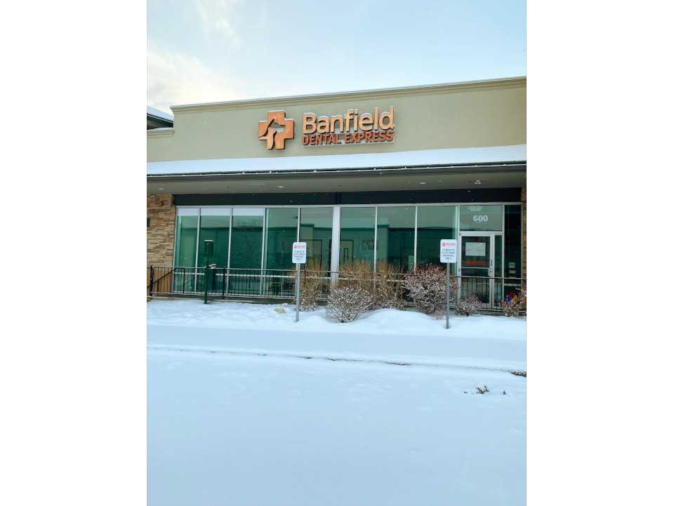 Entrance to the Lone Tree